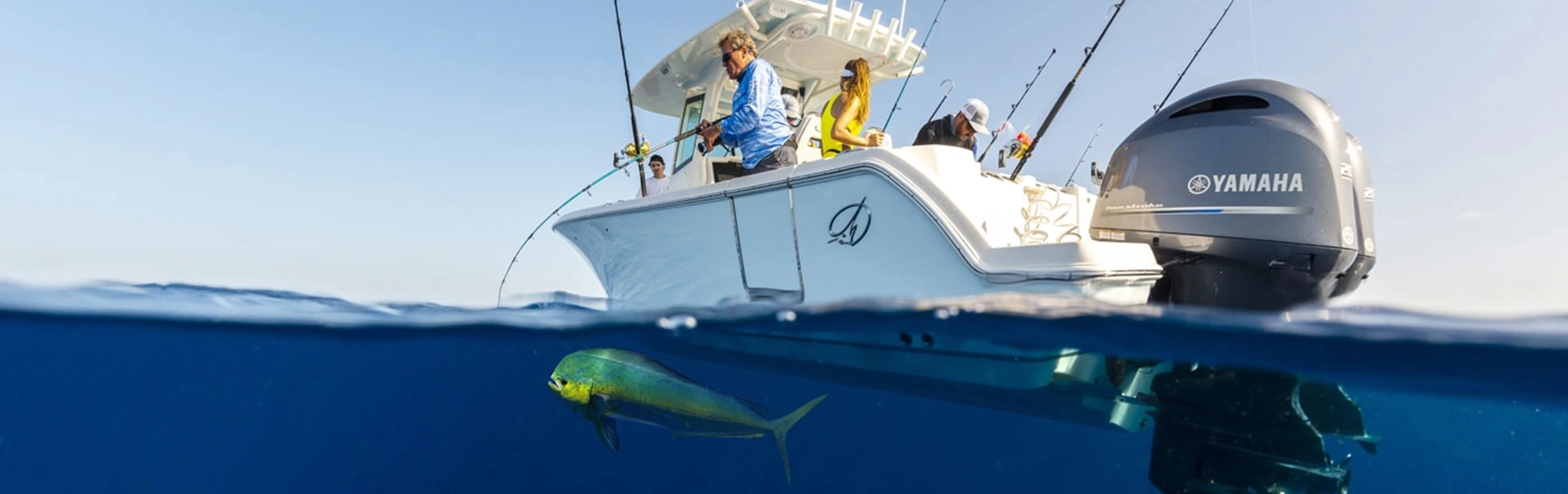 2024 Sailfish 272CC